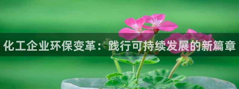 亿万先生客户端下载：化工企业环保变革：践行可持续发展的新篇章