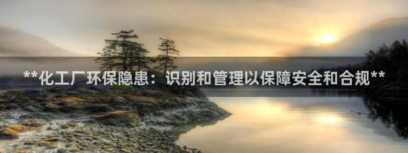 亿万笞人：**化工厂环保隐患：识别和管理以保障安全和合规**