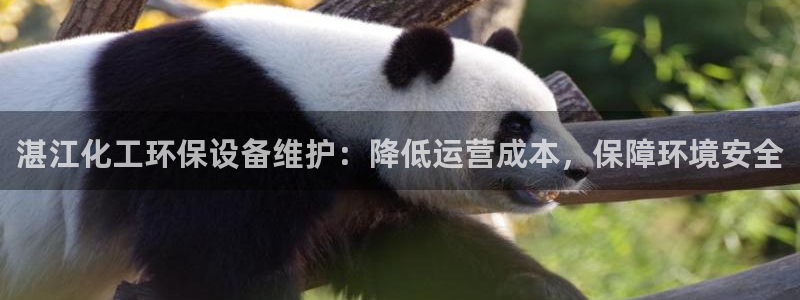亿万先生客户端官网下载：湛江化工环保设备维护：降低运营成本，保障环境安全