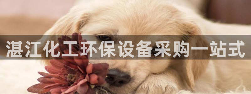 亿万先生官方网站客户端下载安装：湛江化工环保设备采购一站式