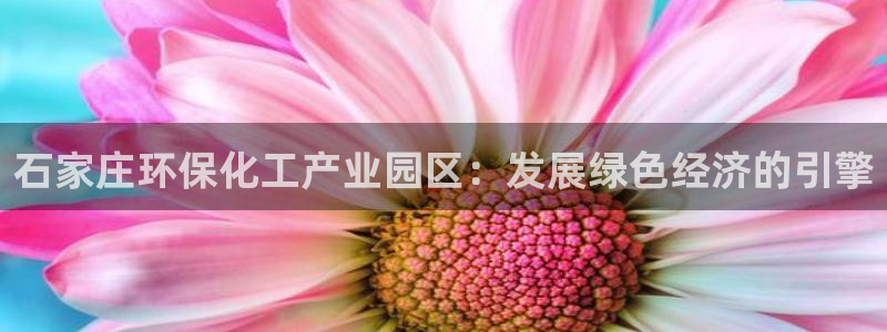 亿万先生游戏：石家庄环保化工产业园区：发展绿色经济的引擎