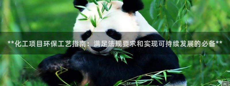 亿万城市手游官网：**化工项目环保工艺指南：满足法规要求和实现可持续发展的必备**