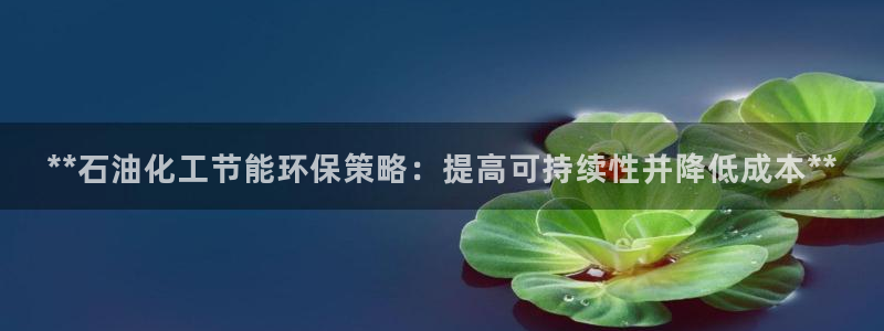 亿万番外：**石油化工节能环保策略：提高可持续性并降低成本**