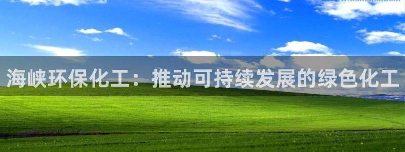 亿万先生合并：海峡环保化工：推动可持续发展的绿色化工