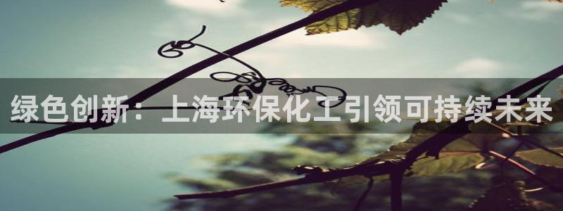 亿万先生手机版入：绿色创新：上海环保化工引领可持续未来