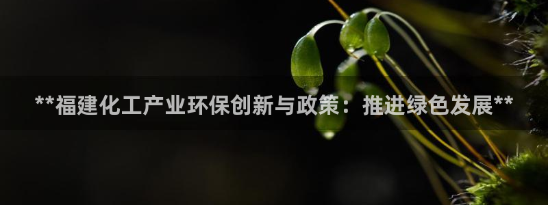 亿万先生客户端怎么下载：**福建化工产业环保创新与政策：推进绿色发展**