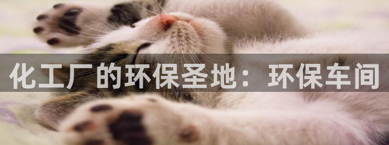 亿万乐购生活超市：化工厂的环保圣地：环保车间