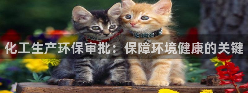 亿万先生手机版入：化工生产环保审批：保障环境健康的关键