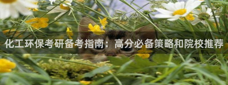 亿万网红：化工环保考研备考指南：高分必备策略和院校推荐