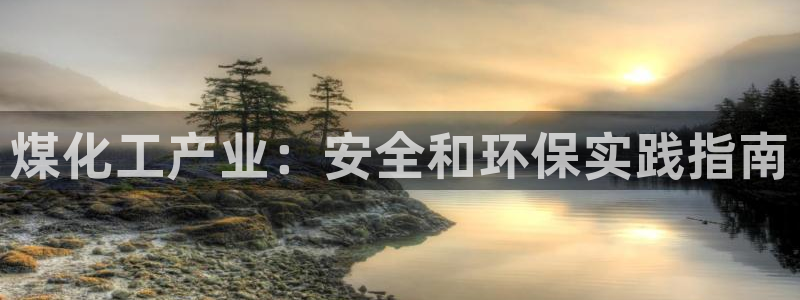 亿万先生网页版登录：煤化工产业：安全和环保实践指南