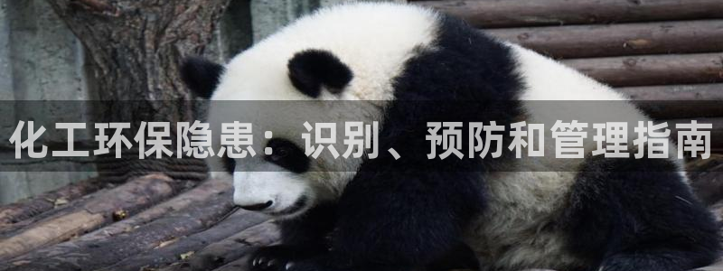 亿万先生合并最新消息：化工环保隐患：识别、预防和管理指南