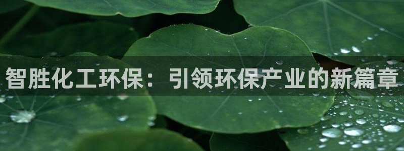 亿万先生手机版客户端下载安装：智胜化工环保：引领环保产业的新篇章