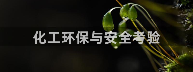 亿万先生合并：化工环保与安全考验