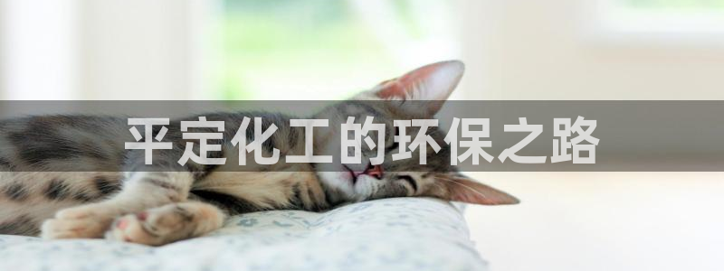 mr8001亿万先生：平定化工的环保之路