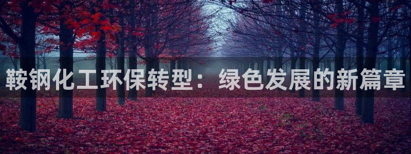 亿万先生手机版客户端下载官网：鞍钢化工环保转型：绿色发展的新篇章
