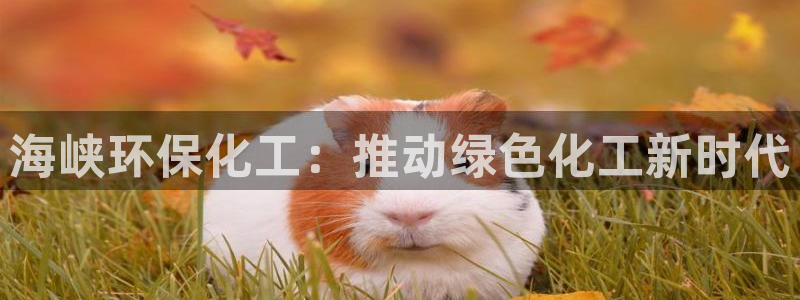 亿万堂官网：海峡环保化工：推动绿色化工新时代
