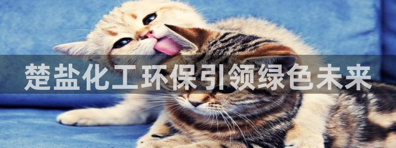 亿万先生合并网址在哪：楚盐化工环保引领绿色未来