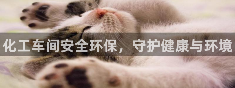 亿万视频：化工车间安全环保，守护健康与环境