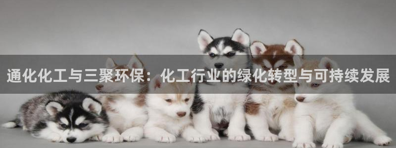 亿万官网手机登录：通化化工与三聚环保：化工行业的绿化转型与可持续发展