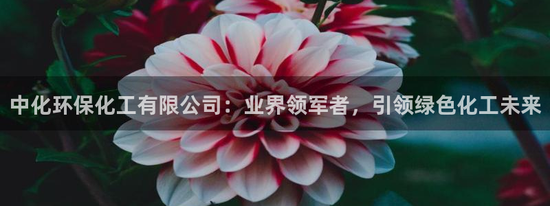 亿万网络：中化环保化工有限公司：业界领军者，引领绿色化工未来