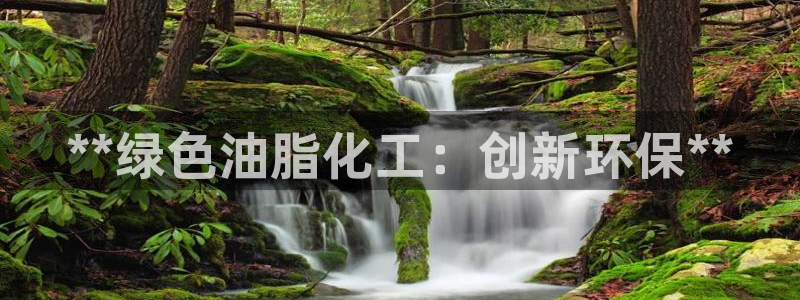 亿万先生充电桩怎么样：**绿色油脂化工：创新环保**