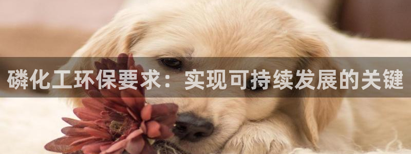 亿万同人字幕组微博的微博：磷化工环保要求：实现可持续发展的关键