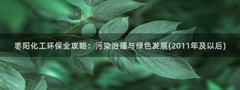亿万问答：枣阳化工环保全攻略：污染治理与绿色发展(2011年及以后)