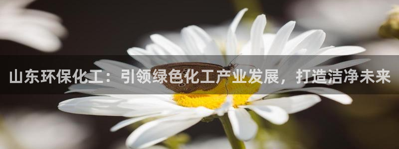 亿万官网字幕：山东环保化工：引领绿色化工产业发展，打造洁净未来