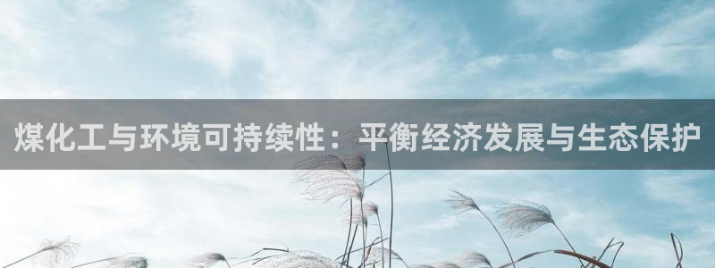 亿万先生客服联系方式是什么：煤化工与环境可持续性：平衡经济发展与生态保护