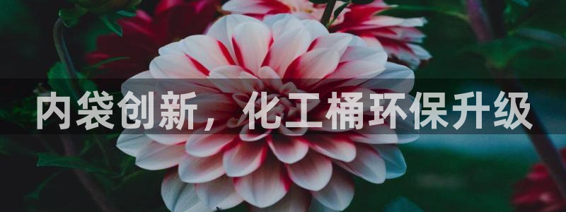 亿万个世界 科幻简介：内袋创新，化工桶环保升级