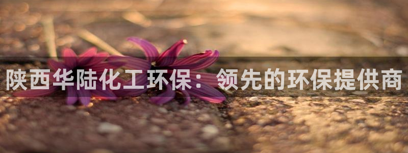 亿万先生007客服：陕西华陆化工环保：领先的环保提供商