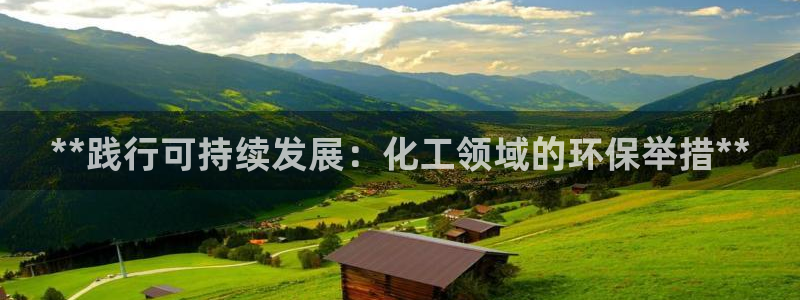 电影 亿万：**践行可持续发展：化工领域的环保举措**