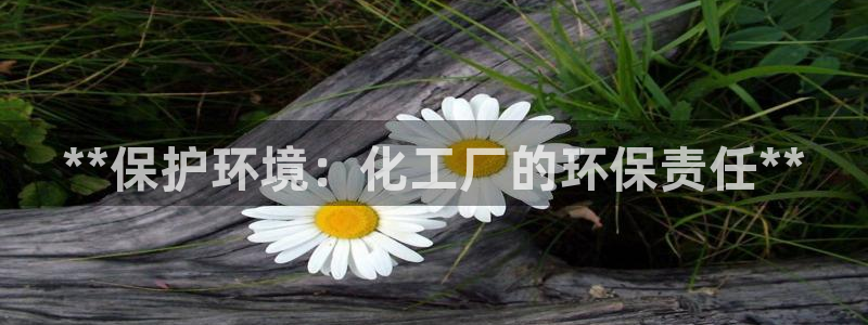 亿万先生客户端官网首页：**保护环境：化工厂的环保责任**