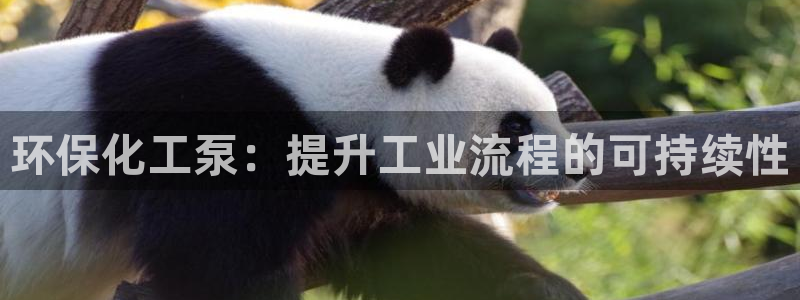 亿万网络科技有限公司：环保化工泵：提升工业流程的可持续性