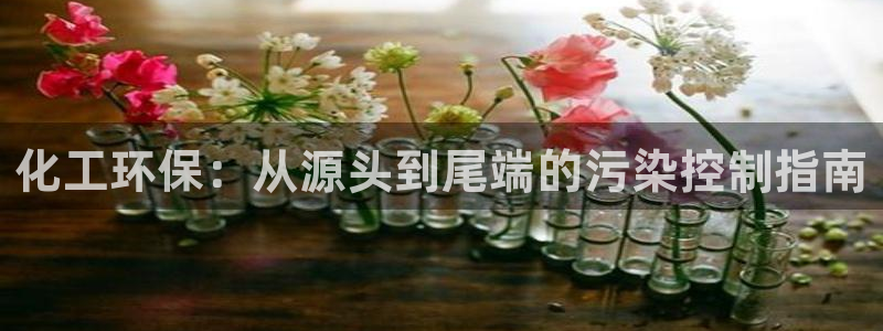 亿万先生官方网站下载：化工环保：从源头到尾端的污染控制指南