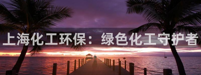 亿万 下载：上海化工环保：绿色化工守护者