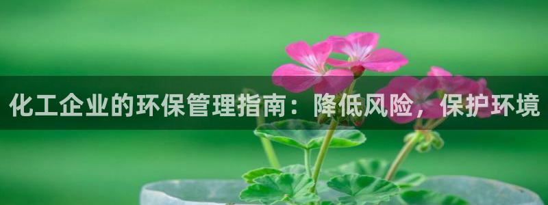 亿万剧情介绍：化工企业的环保管理指南：降低风险，保护环境