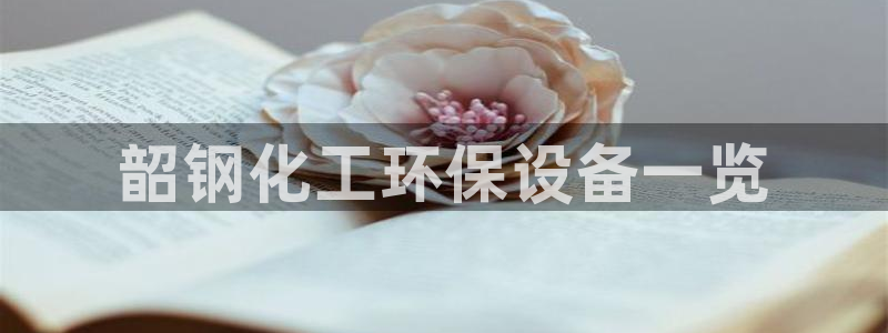 亿万先生合并网址：韶钢化工环保设备一览