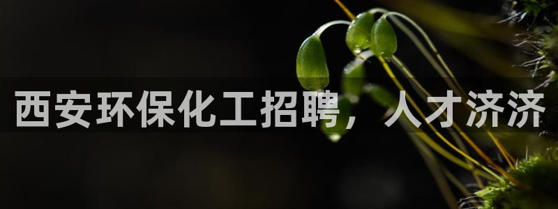 亿万先生手机网页