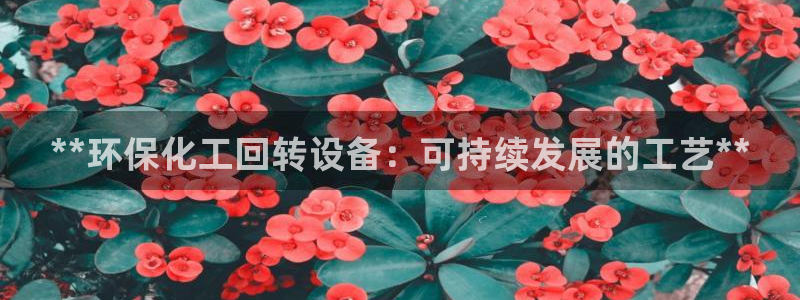 亿万先生手机版入口在哪看：**环保化工回转设备：可持续发展的工艺**