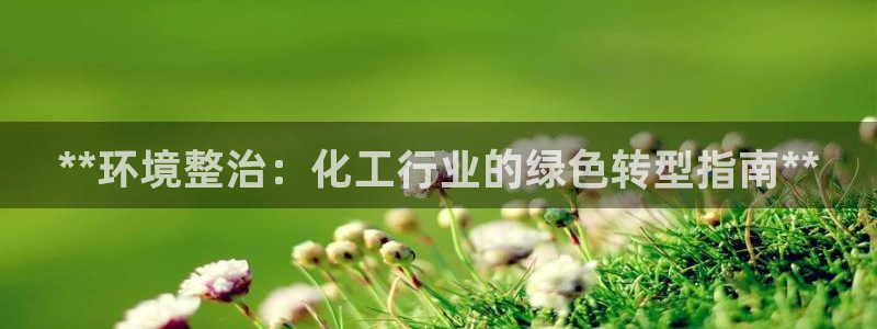 亿万先生网址改了吗：**环境整治：化工行业的绿色转型指南**