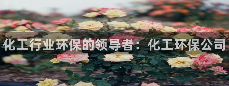 亿万先生网页版
