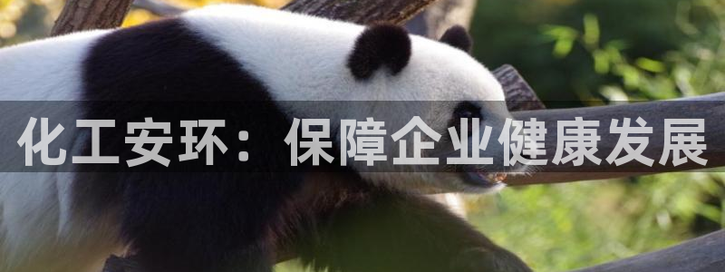 亿万先生mr网址：化工安环：保障企业健康发展