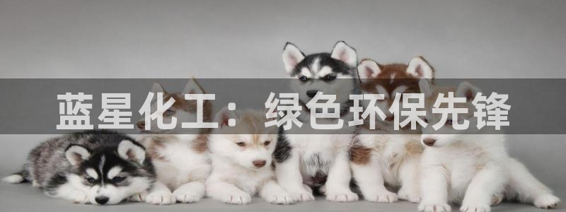 亿万先生网站：蓝星化工：绿色环保先锋