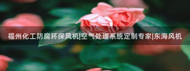 亿万剧集：福州化工防腐环保风机|空气处理系统定制专家|东海风机