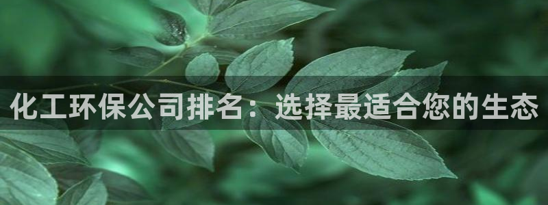 亿万先生游戏：化工环保公司排名：选择最适合您的生态