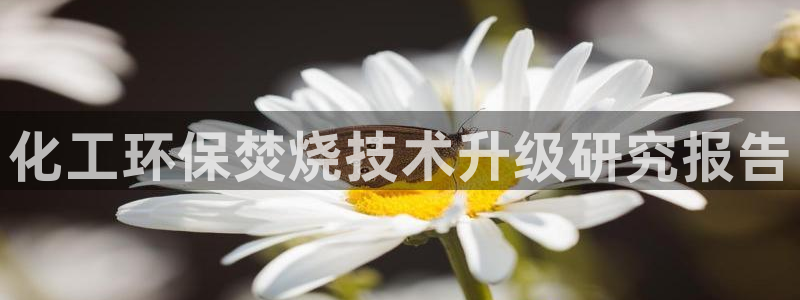 亿万官网字幕组官网下载：化工环保焚烧技术升级研究报告