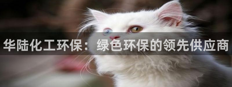 亿万先生mr：华陆化工环保：绿色环保的领先供应商