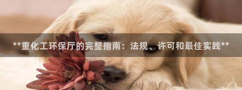 亿万app：**重化工环保厅的完整指南：法规、许可和最佳实践**