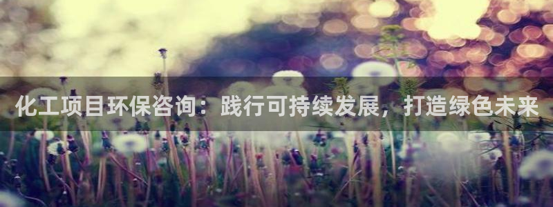 亿万billions：化工项目环保咨询：践行可持续发展，打造绿色未来